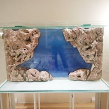 Изготовление аквариумов на заказ в СПб